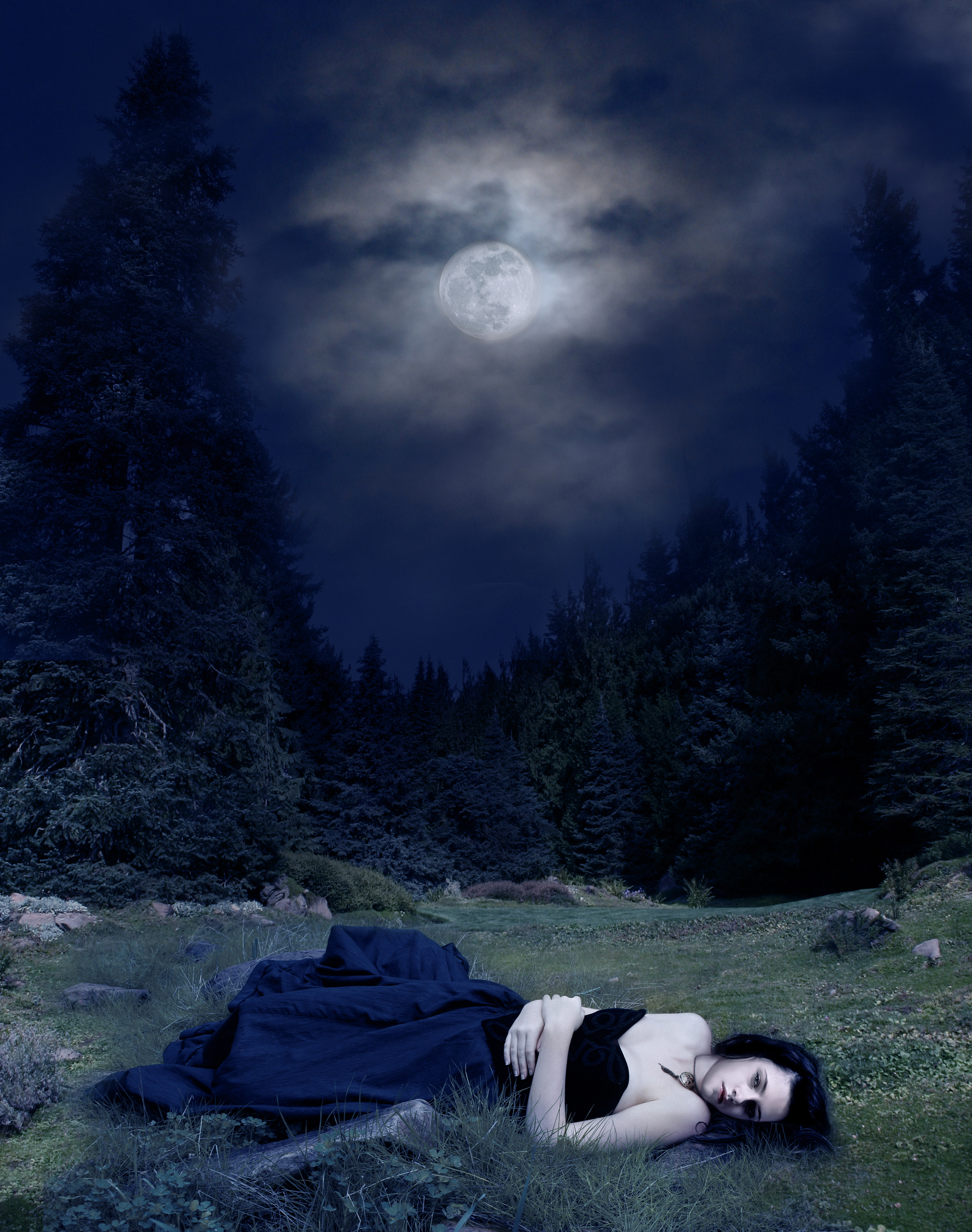 Bella Swan and Twilight